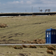 Illustration for article titled A wallpaper-worthy shot of the TARDIS on Gelligaer Common